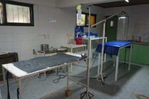 veterinaria san carlos
