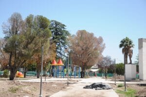 PLAZA LA CONSULTA