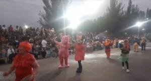 carnaval san carlos