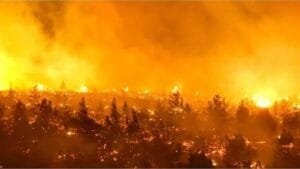 incendios-chilejpgwebp