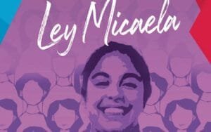 Ley-Micaela
