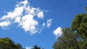 cielo