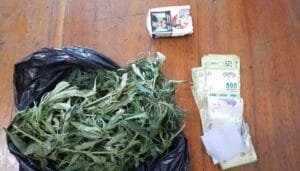 marihuana (2)