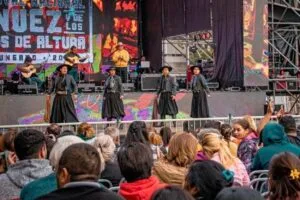 Festival de la Nuez y de los Vinos de Altura (1)