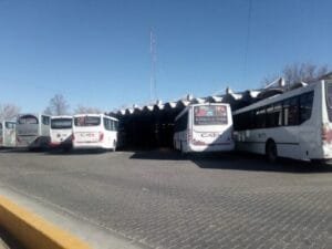 cata
