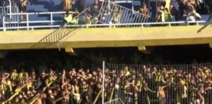 libertadores