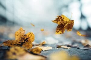 otoño