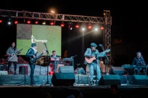 Festival de la Nuez y de los Vinos de Altura (1)