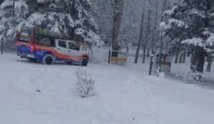 nieve en el manzano 1