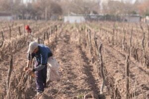 Contingencias-Climaticas-ya-habilito-la-actualizacion-del-RUT-por-internet