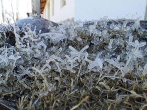 IMG_20200807_112711