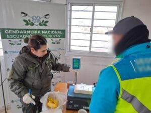 Mendoza droga (6)