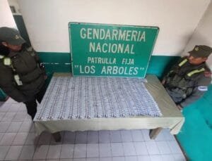 gendarmeria-nacionalpng