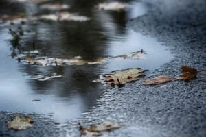 puddle-3732915_1280