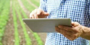 Close Up Of Farmer Using Digital Tablet On Organic Farm