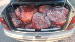 CARNE DE CABALLO