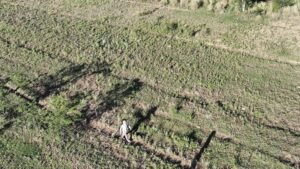 dron