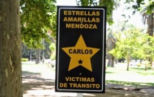 estrellas amarillas carlos