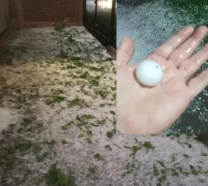 granizo productores