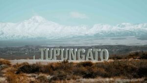 tupungato cartel