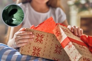 compras navideñas