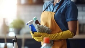 domestica