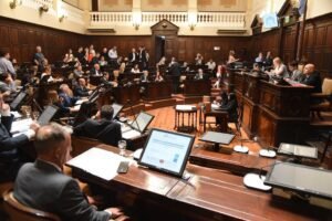 senado