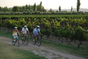 Mendoza Turismo
