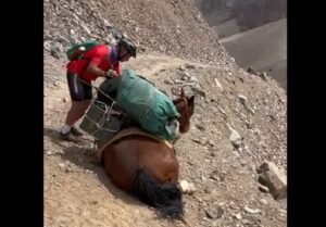caballo1