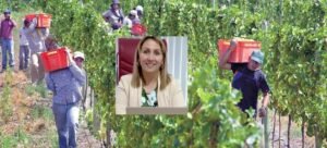 soeva