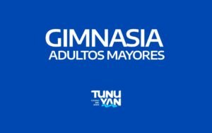 gim