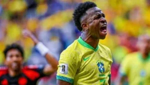 vinicius