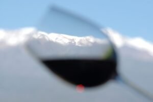 vino