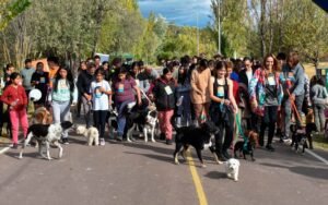 maraton mascotera
