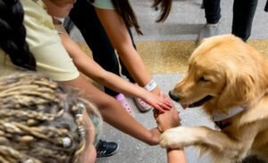 perros y niños notti