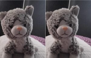 PELUCHE