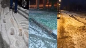 granizoo