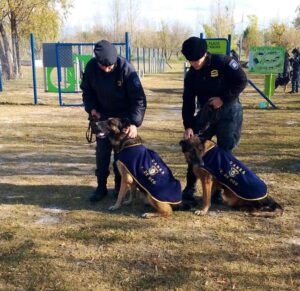 perros policías