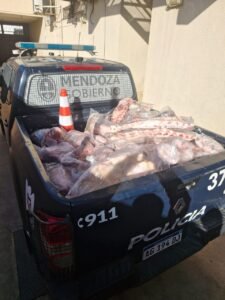 carne decomisada en mendoza