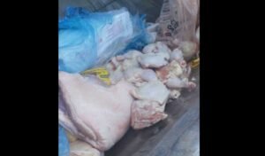 carne y pollo en mal estado