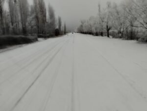 nieve