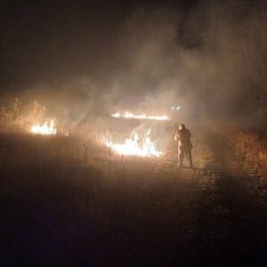 bomberos san carlos