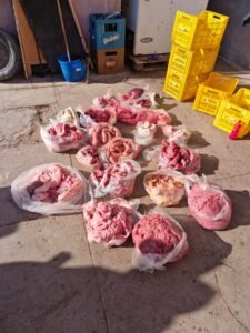 carne en mal estado ugarteche