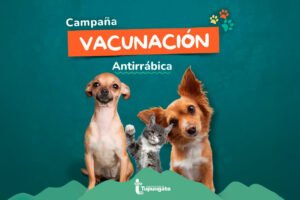Campaña de Vacunación Antirrábica Tgto.