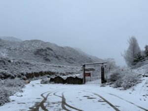 nieve en el manzano historico