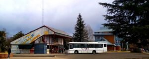 terminal de la consultaa
