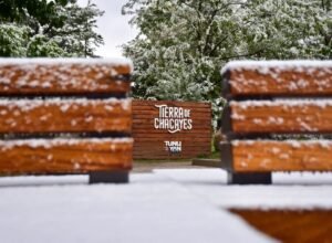 Fotos nieve