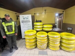 Mendoza mercadería contrabando (5)