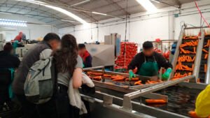 Mendoza presunta trata de personas con fines de explotación laboral (3)