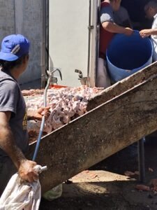 carne en mal estado